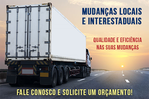 Imagem mudanças locais e mudanças interestaduais